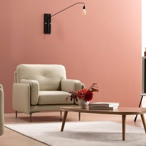 Ghế sofa đơn phòng khách Hàn Quốc