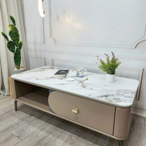 Bàn sofa bàn trà 3
